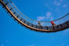 auf der Landmarke - Tiger and Turtle