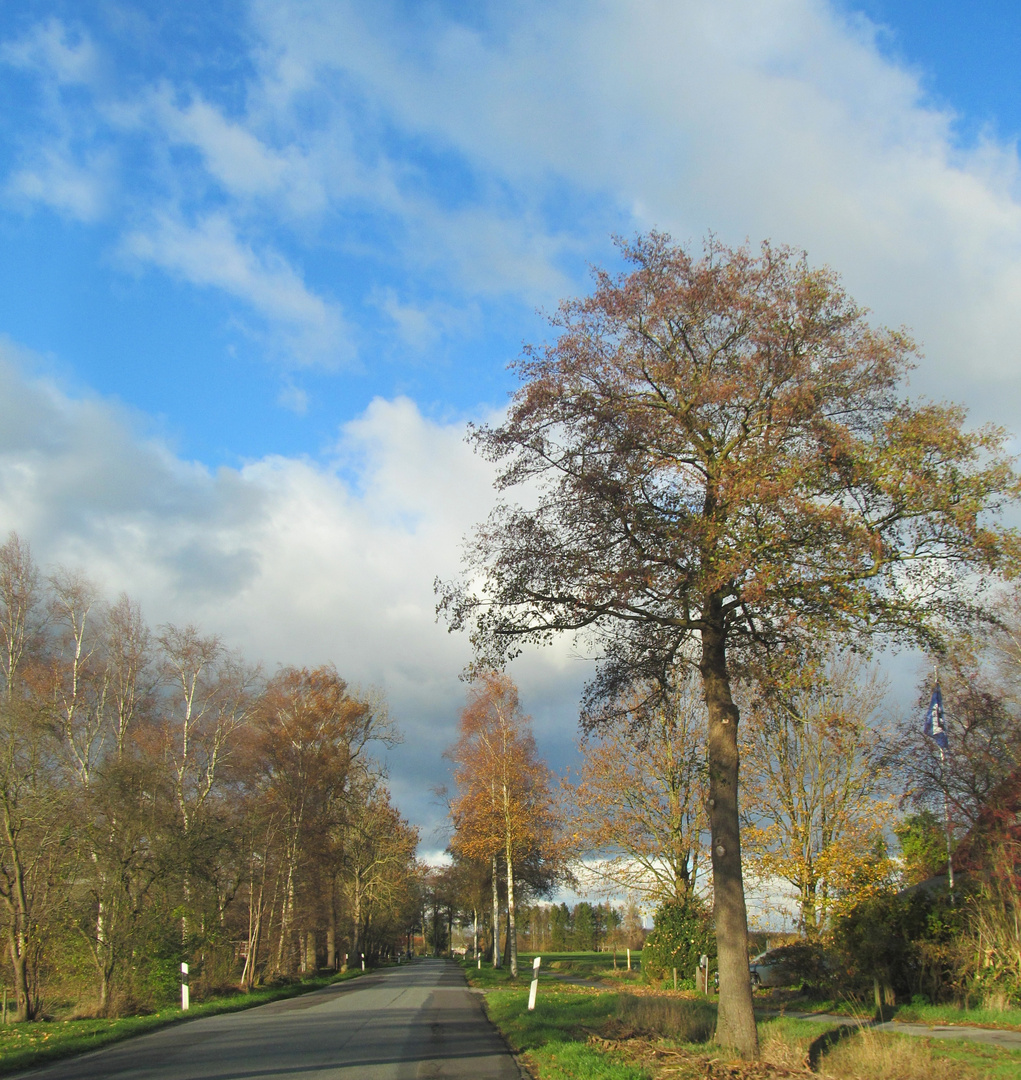 auf der Landstraße Foto & Bild dokumentation, landschaften