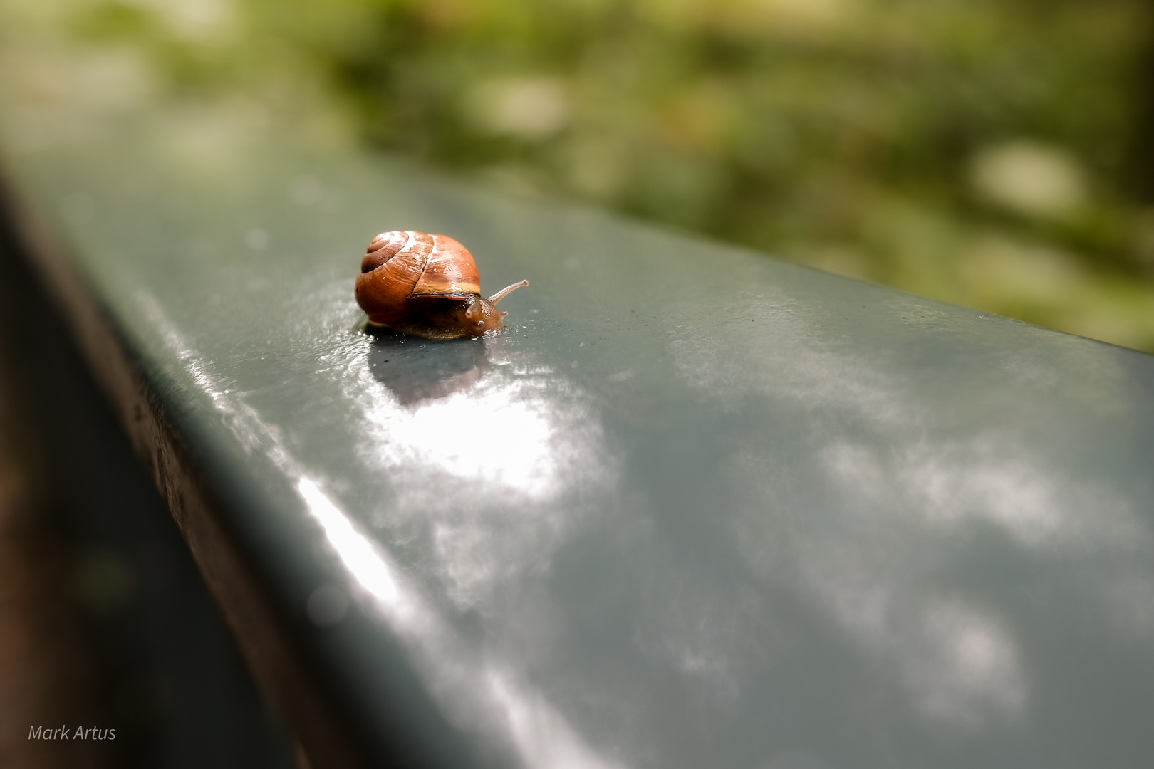 Auf der langen Bahn