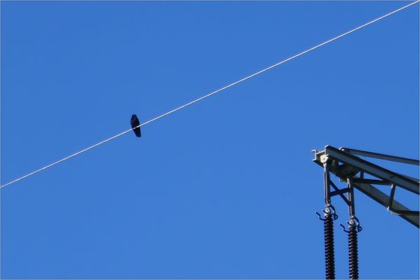 Auf der langen Leitung stehen