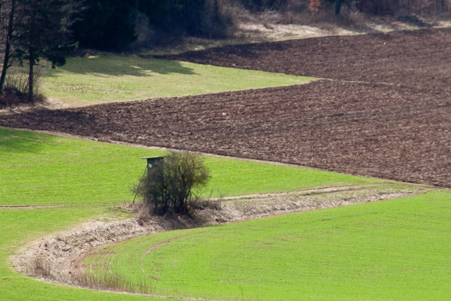 Auf der Lauer...