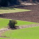 Auf der Lauer...