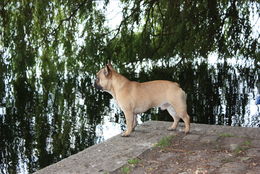 auf der Lauer