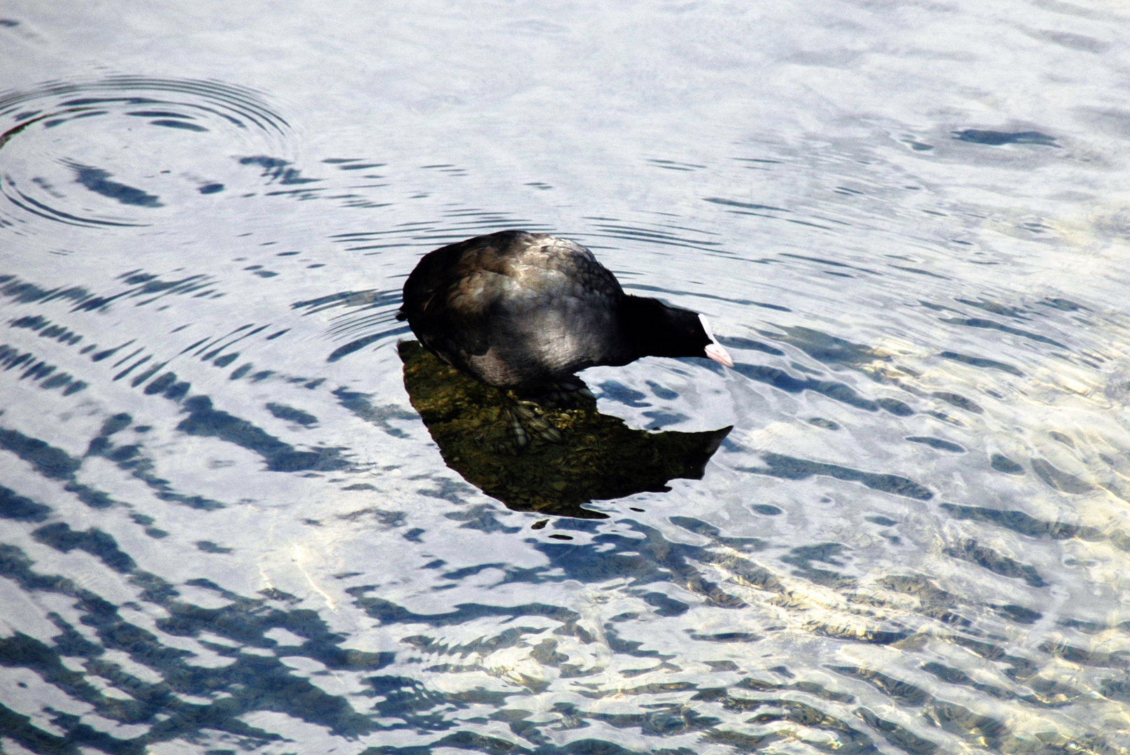 auf der Lauer