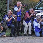 Auf der Lauer - Motorsport-Fotografen bei der Arbeit