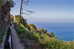 Auf der Levada Nova