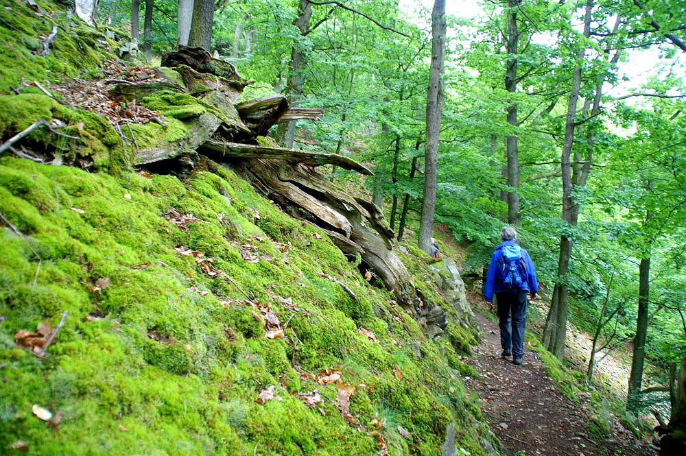 Auf der Lindenberg-Route