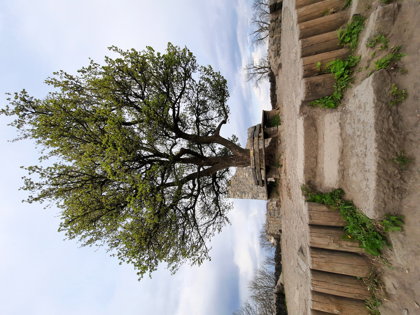 Auf der Löwenburg bei Bad Honnef