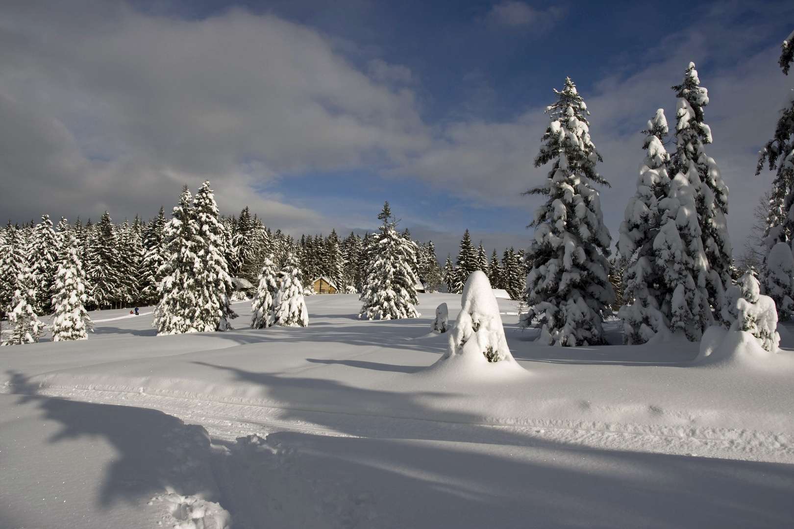 Auf der Loipe am Bödele-Paß-Vorarlberg