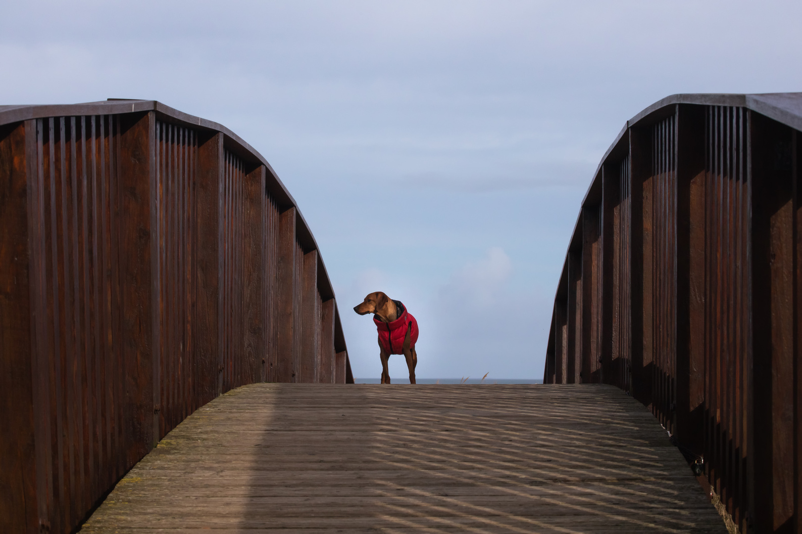 auf der Lügenbrücke