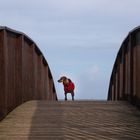 auf der Lügenbrücke