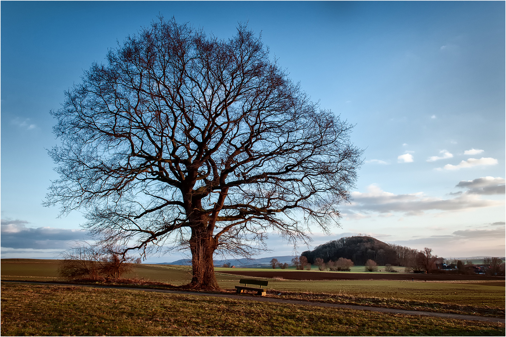 Auf der Mader Heide