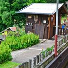 Auf der Märchenalm  bei Obersteinhaus…