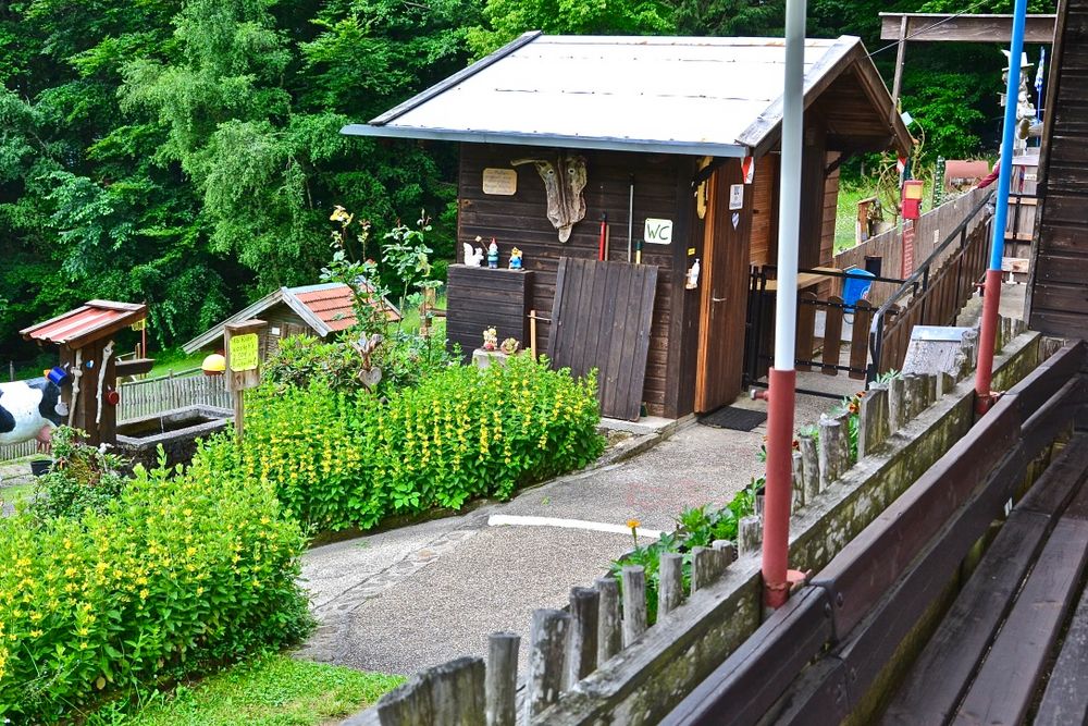 Auf der Märchenalm  bei Obersteinhaus…