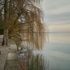 auf der Mainau