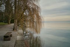 auf der Mainau