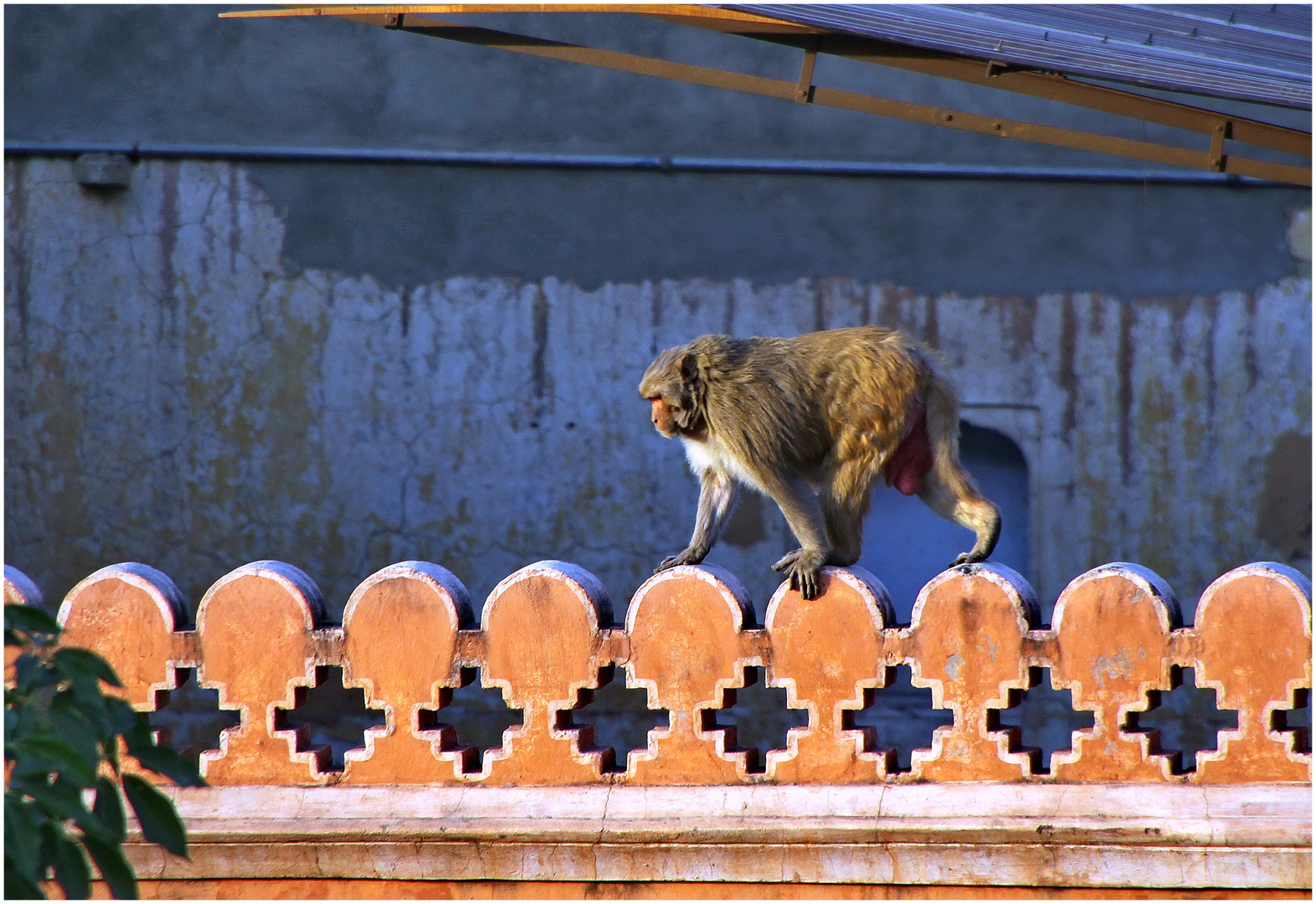 Auf der Mall von Jaipur