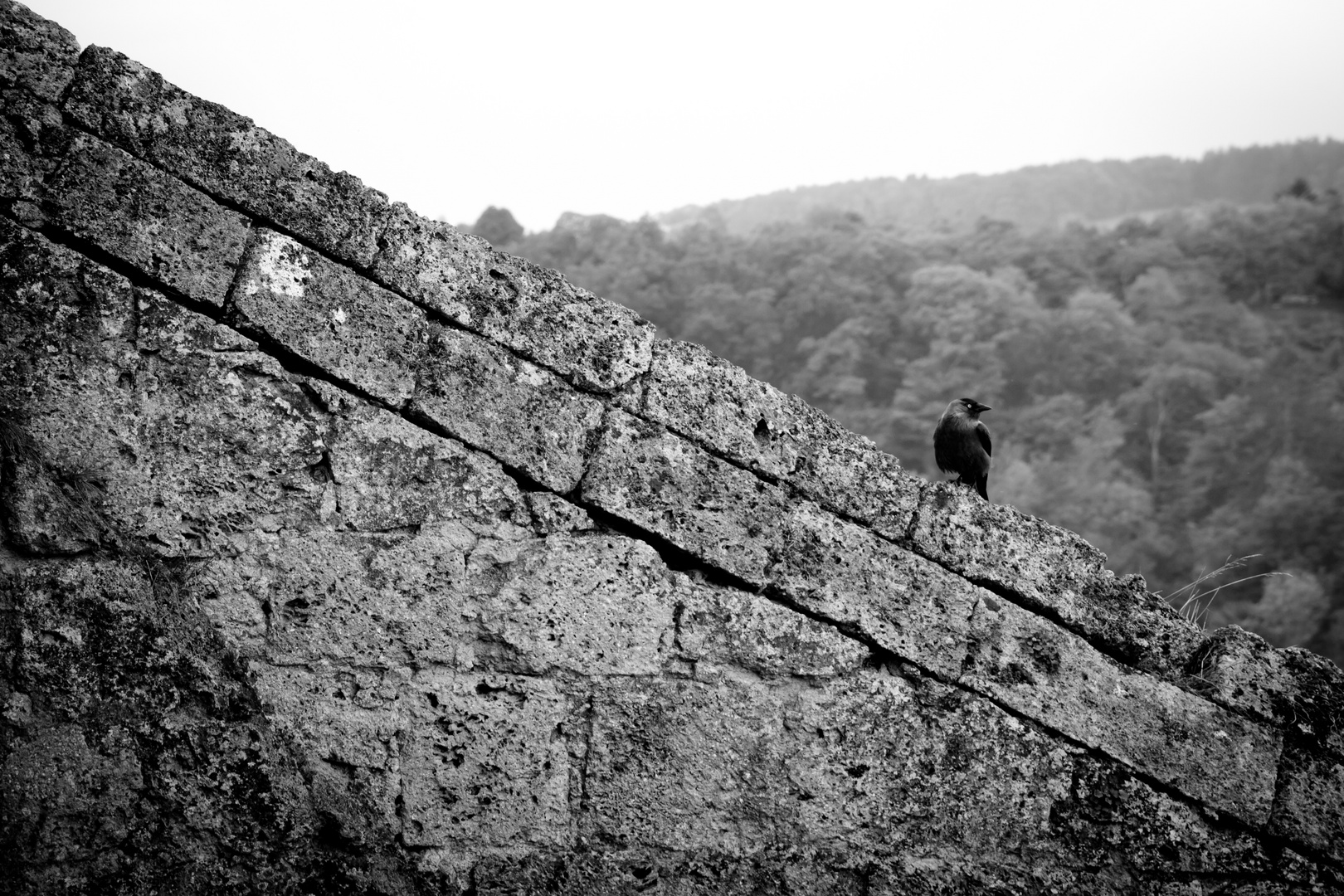 Auf der Mauer