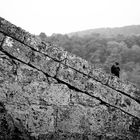 Auf der Mauer