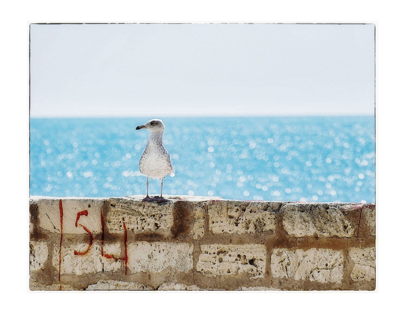 auf der Mauer...