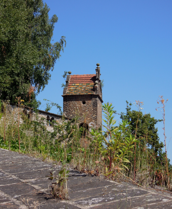 Auf der Mauer