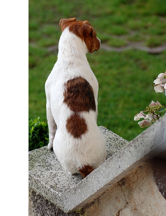 Auf der Mauer