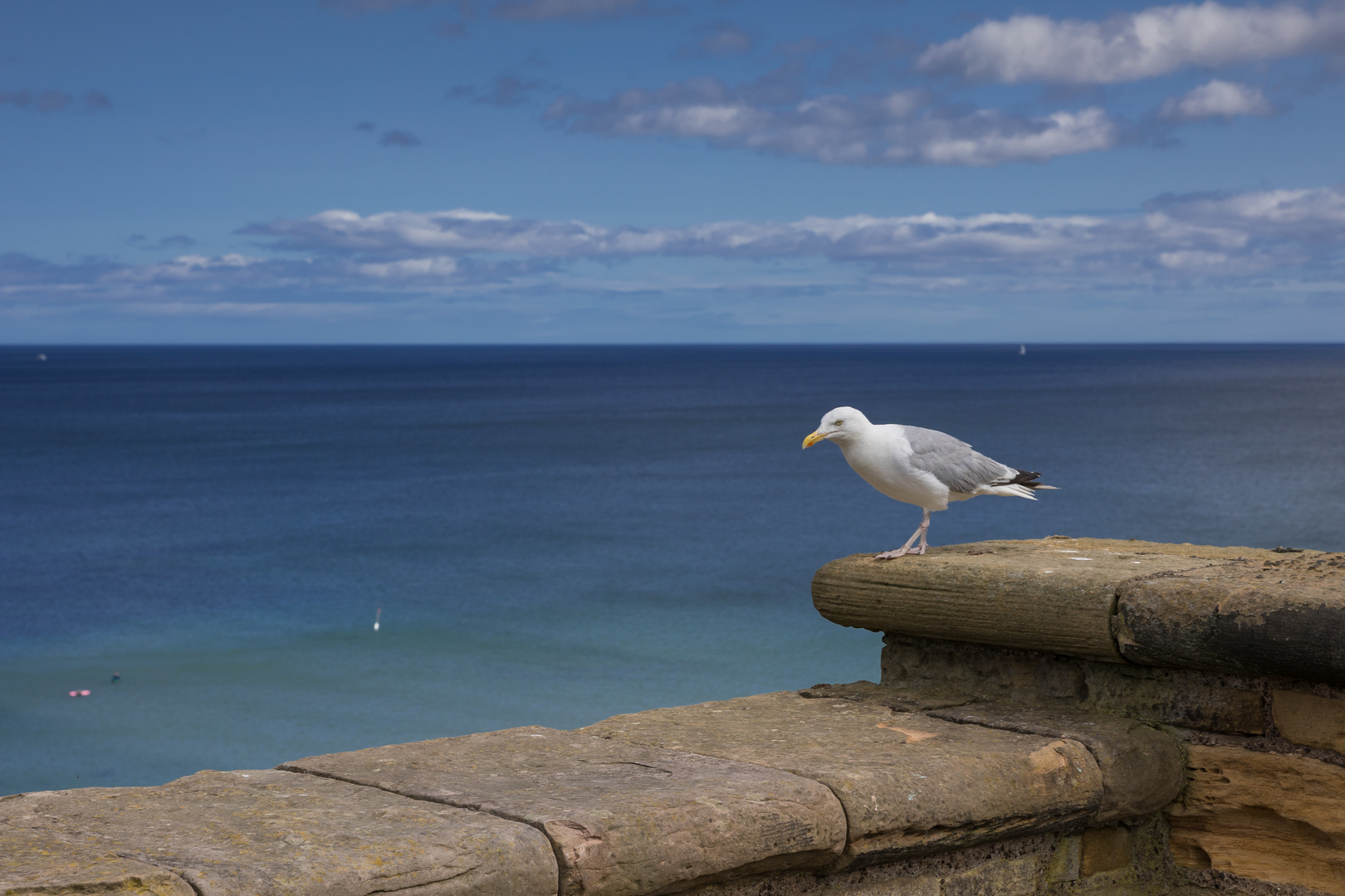 Auf der Mauer, ...