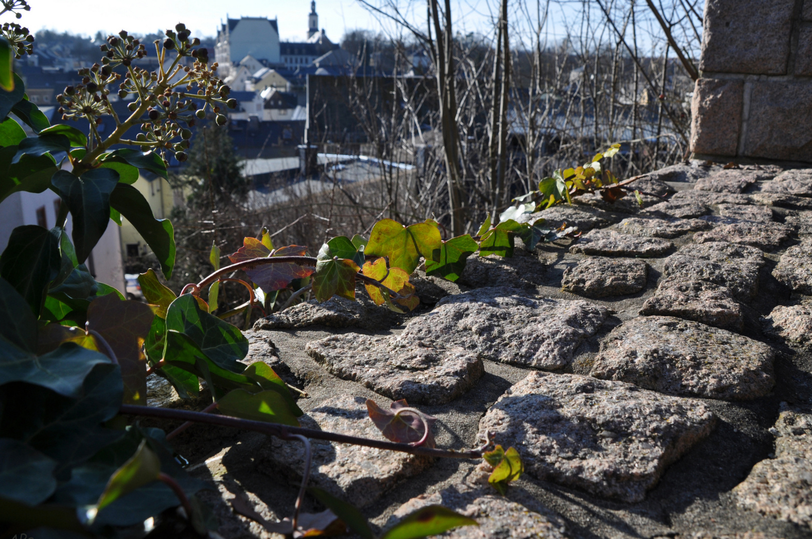 Auf der Mauer**