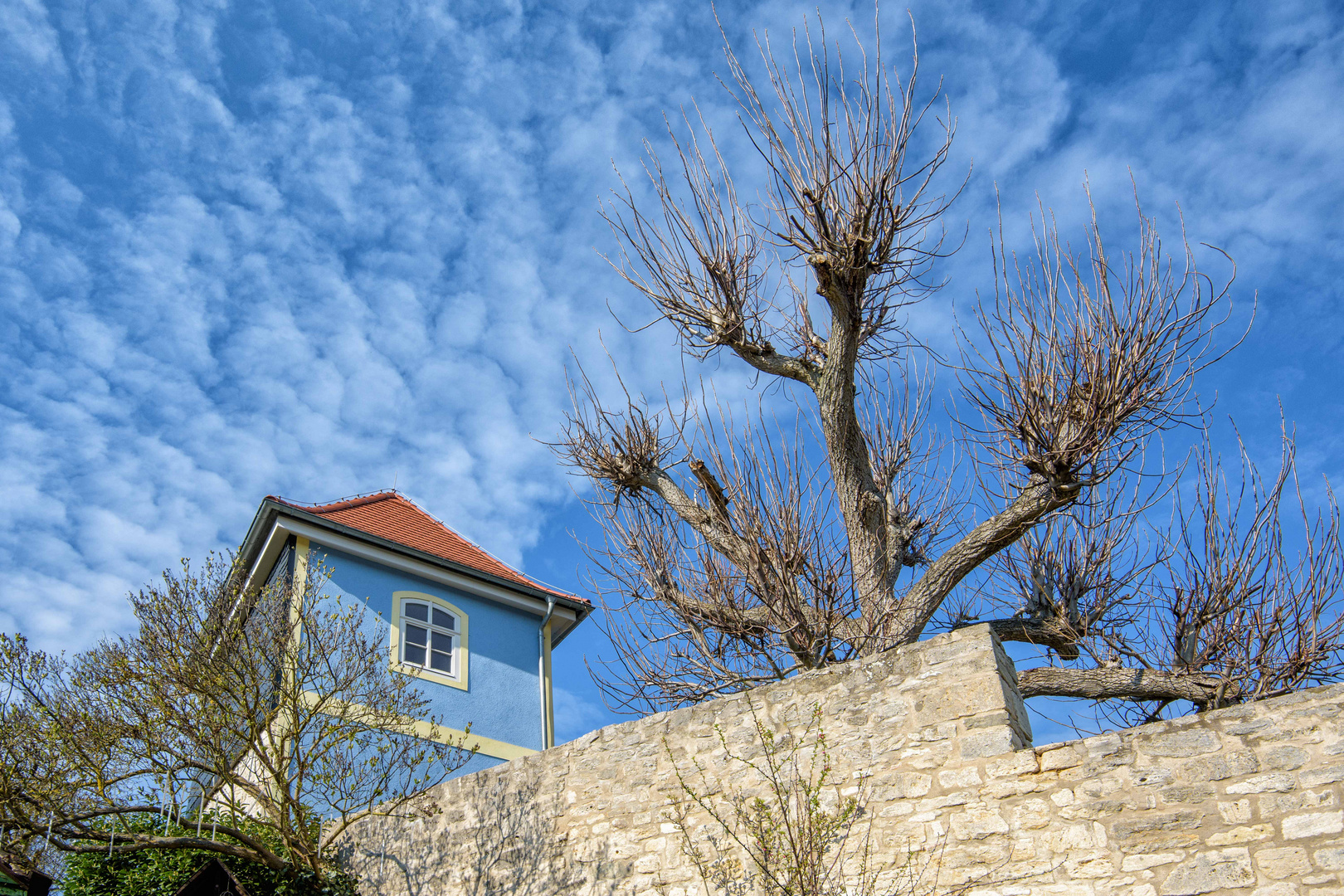 Auf der Mauer