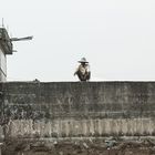 Auf der Mauer...