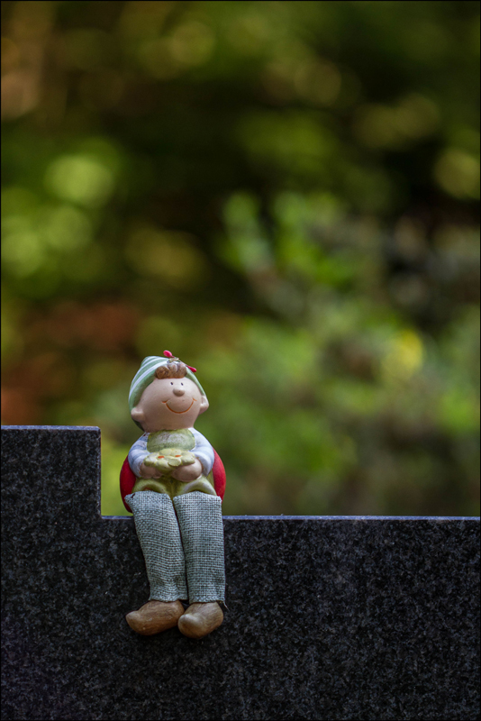 Auf der Mauer...