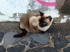 Auf der Mauer....