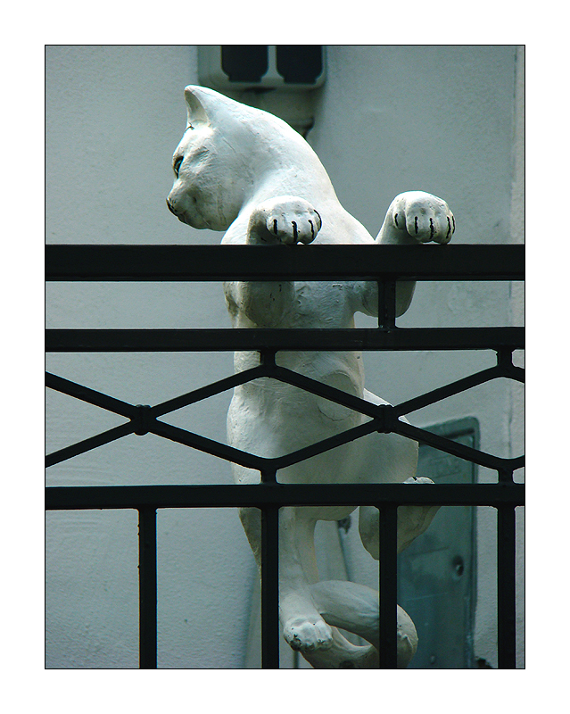 Auf der Mauer, auf der Lauer