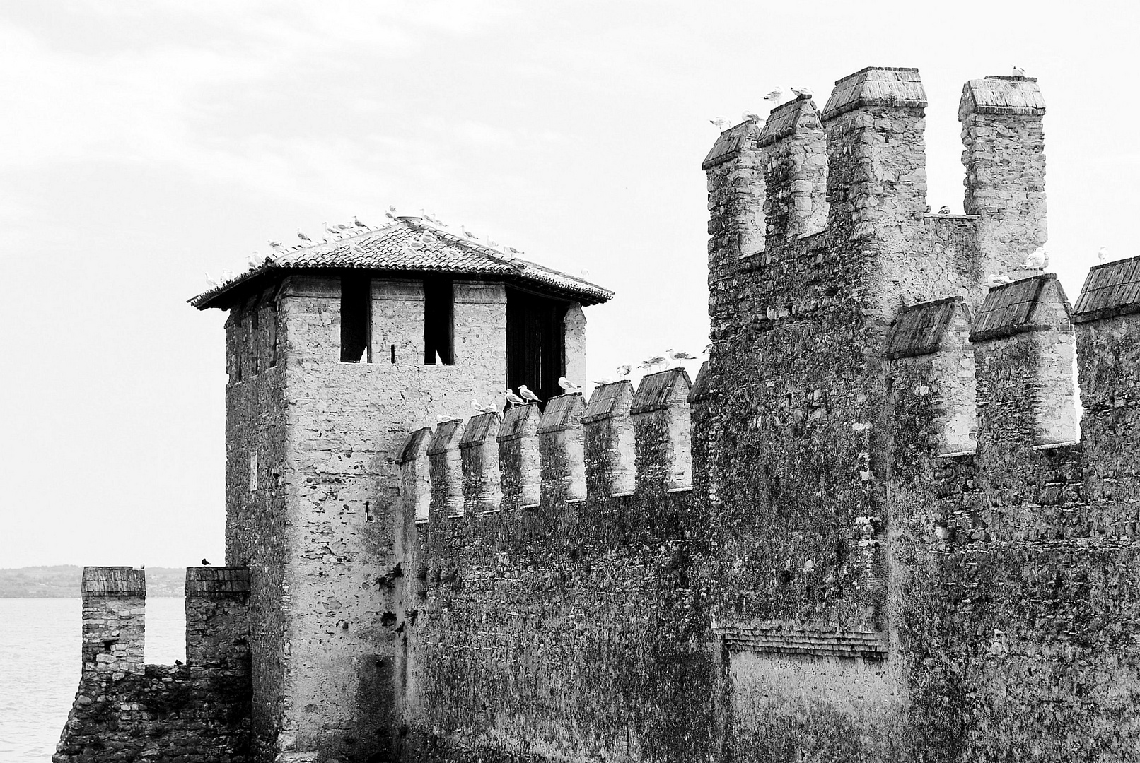 Auf der Mauer - Auf der Lauer