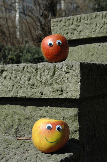 Auf der Mauer auf der Lauer...