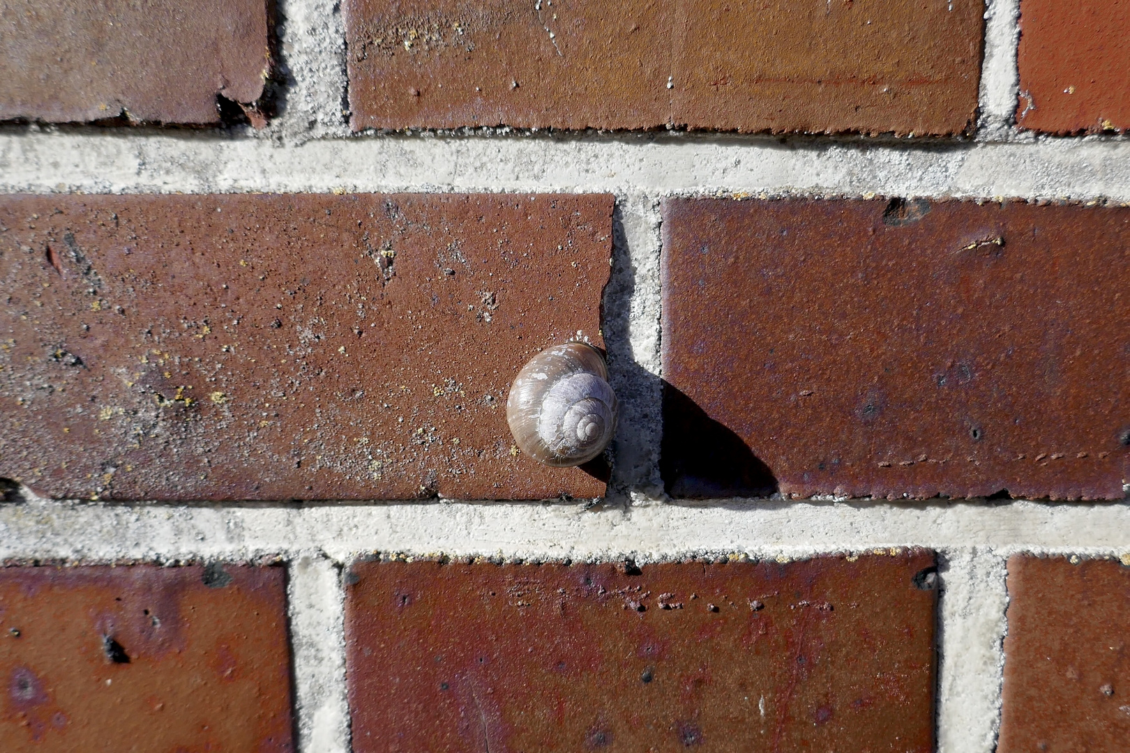 Auf der Mauer, auf der Lauer…