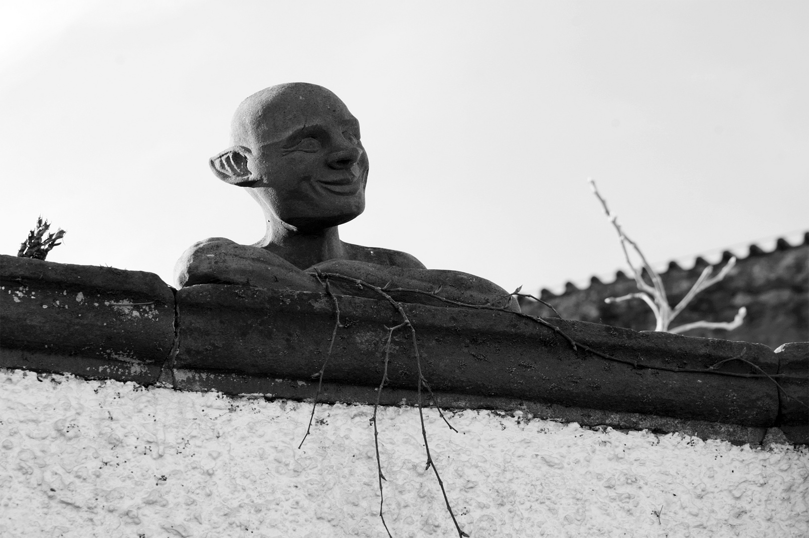 auf der mauer, auf der lauer...