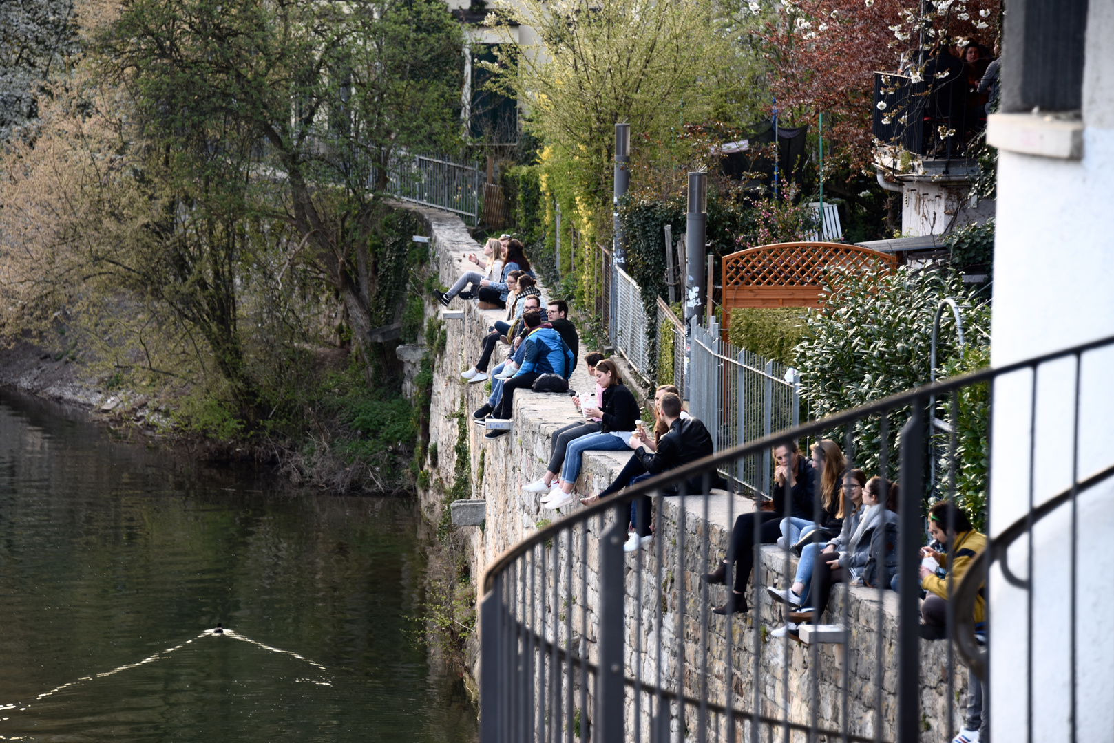 Auf der Mauer auf der Lauer ...