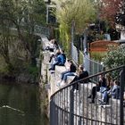 Auf der Mauer auf der Lauer ...