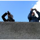 Auf der Mauer, auf der Lauer....