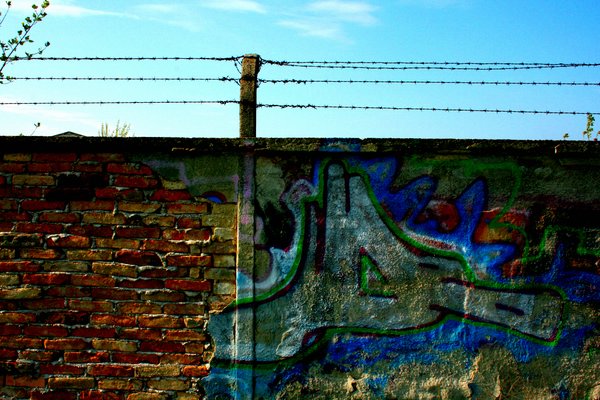 auf der mauer auf der lauer