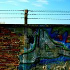 auf der mauer auf der lauer