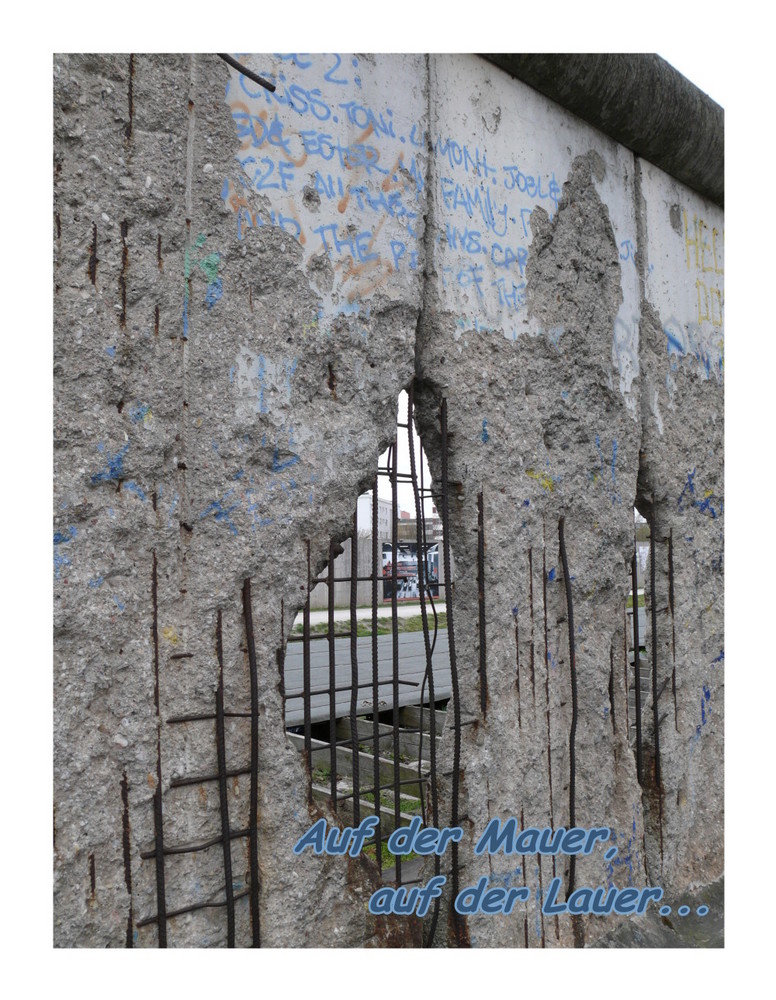 Auf der Mauer auf der Lauer