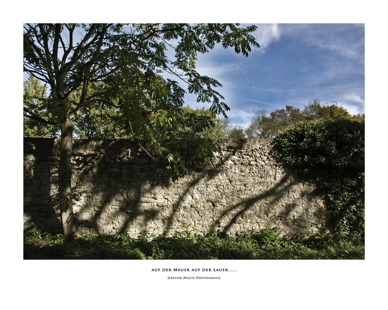 Auf der Mauer auf der Lauer .............