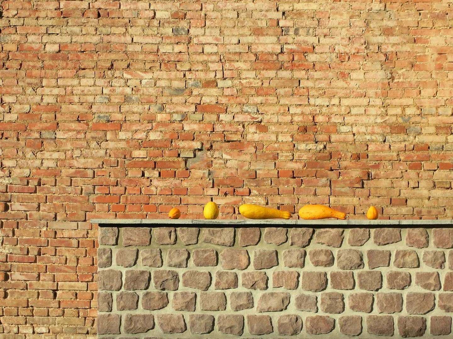 Auf der Mauer, auf der Mauer..