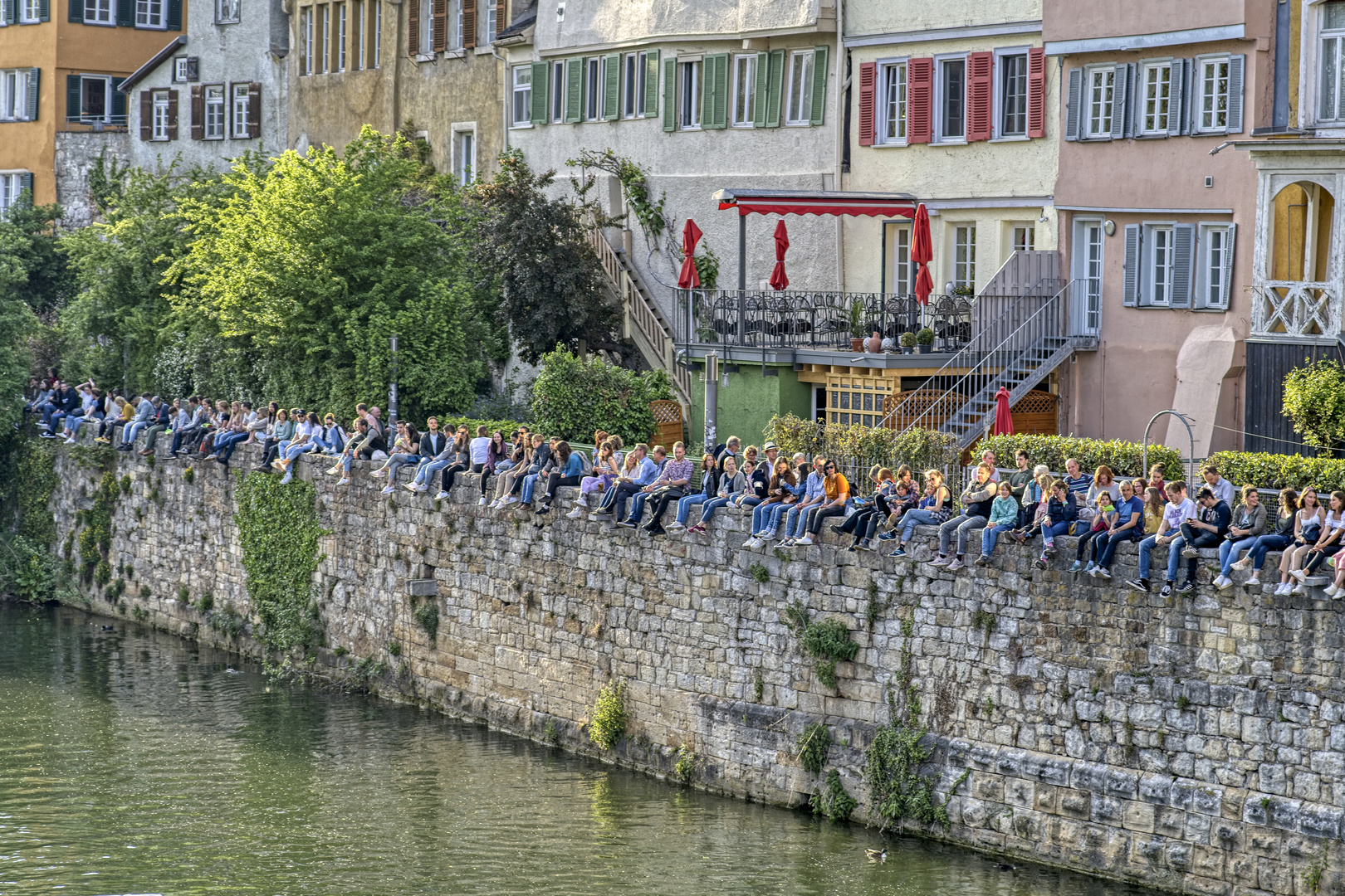 auf der Mauer