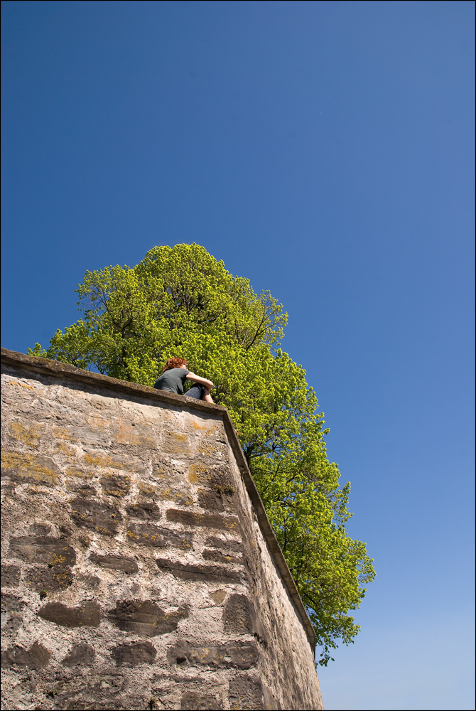 Auf der Mauer