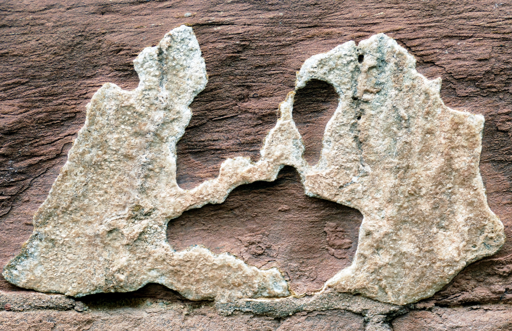 auf der Mauer