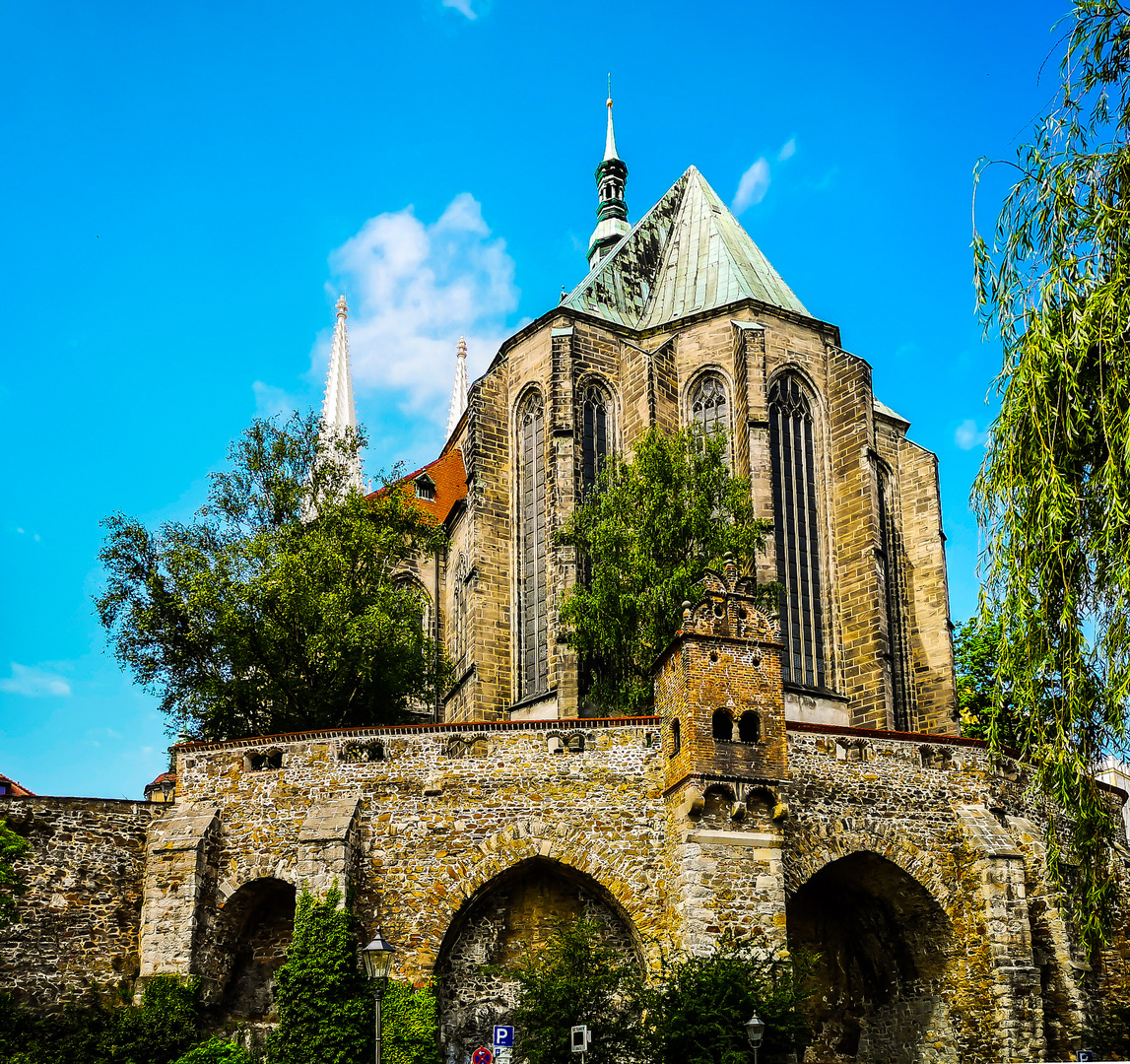 Auf der Mauer Nicht nur kleine Wanzen 