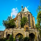 Auf der Mauer Nicht nur kleine Wanzen 